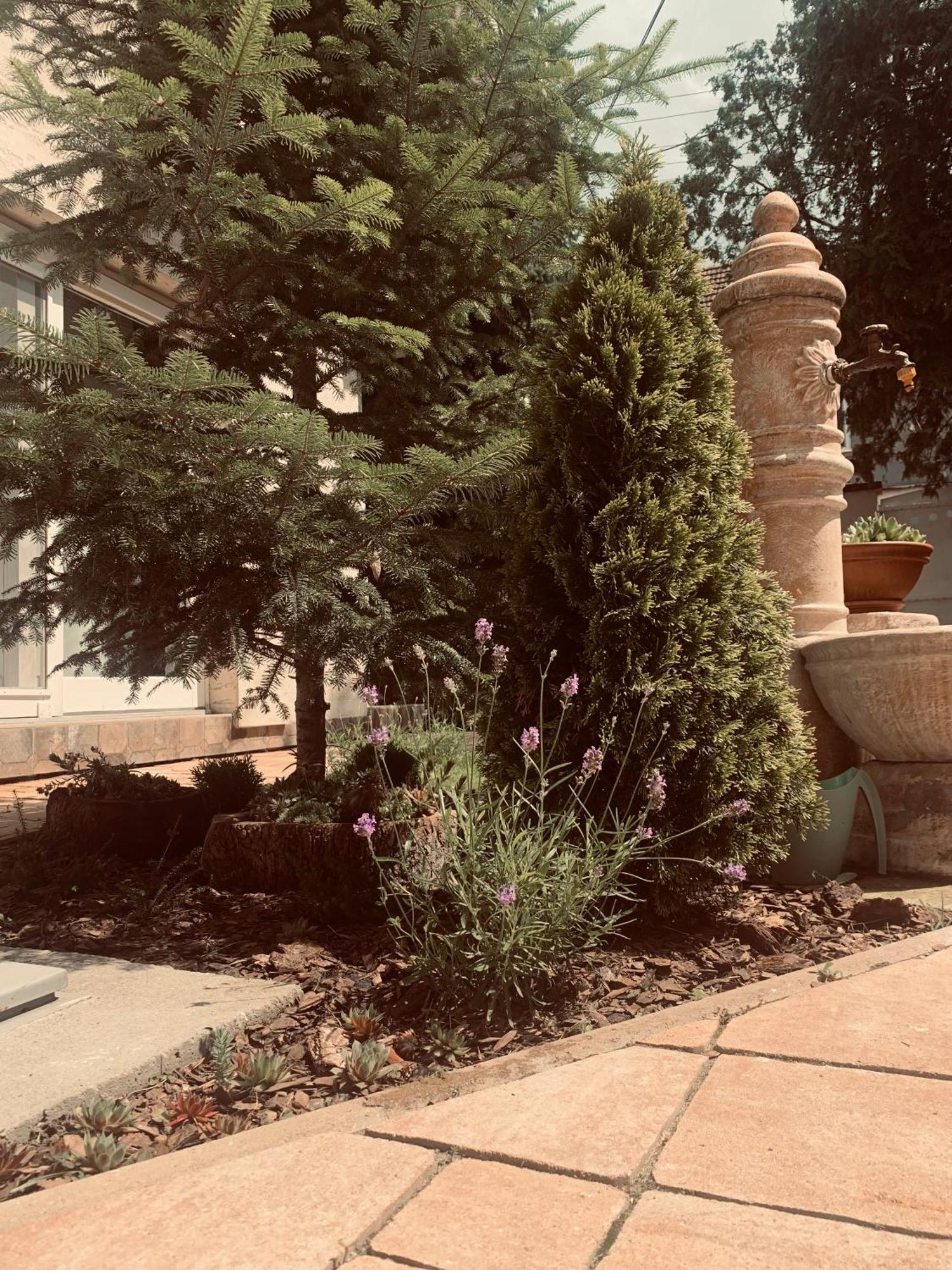 La Casa Tamaris Apartman Zenta Kültér fotó